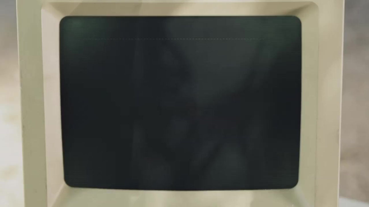 Sleigh Bells: Riot Rhythm - Unofficial Music Video